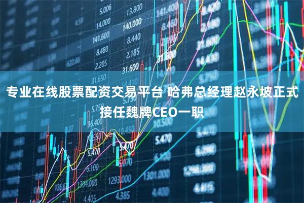 专业在线股票配资交易平台 哈弗总经理赵永坡正式接任魏牌CEO一职